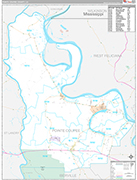 Pointe Coupee Wall Map Premium Style